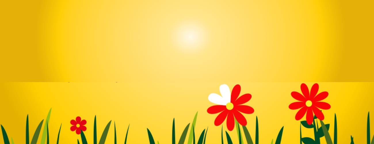 Petali d'estate